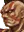 s2Kongol s2Kongol