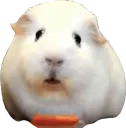 whyarewestillhere