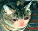 Sad_Cat