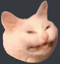 amgerecat