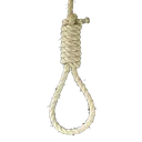 noose