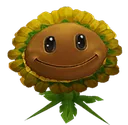 sunflower1