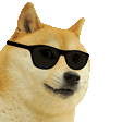 SPCCoolDoge
