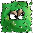 skullzBUSH