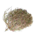 tumbleweed