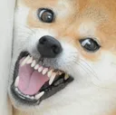 angery