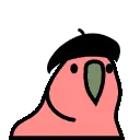beretparrot beretparrot