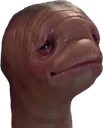 Knoxeh