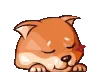sleeper sleeper