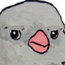 BirbReally BirbReally