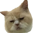 sadpucha