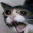 REEEEEEEEEEEEEEEEEE