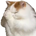 NekoPray