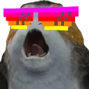 PORGwithit PORGwithit