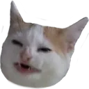 hiss