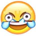 XXDDD