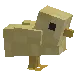 chick chick