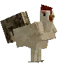 rooster