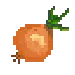 onion