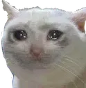 sad