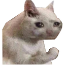 sadcat Discord sticker | Arcade
