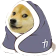 DogeNight