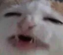 bananya_mlyaa