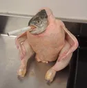 Urmom