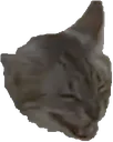 tsunamilaugh tsunamilaugh
