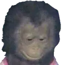 imnotsleep