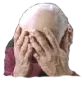 facepalmdouble