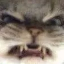 Angery