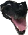 LcoUltraImpactDog Discord emoji