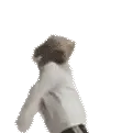 vivatop