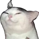 Bamboozler