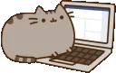 pusheencompute