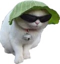 :tabGIRLE: