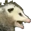 screm