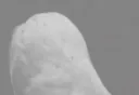 wut