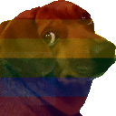 LcoUltraInstintoGay Discord emoji