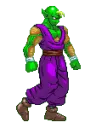 piccolo