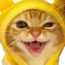 Cat1 Cat1