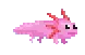 SUaxolotl