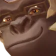 xqcKek