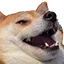 bamboozle