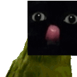 sb_DancingPepeCat Discord Emoji