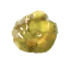resin