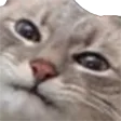 leahYTHO leahYTHO