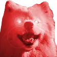 tdogSnacky