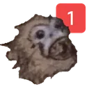 Orangpingtan